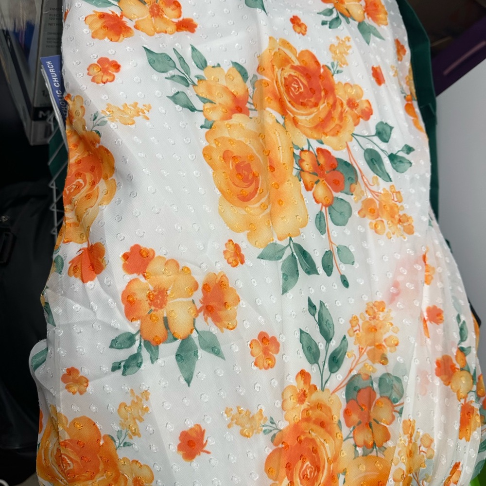 Brand new summer drop print long sheer dress